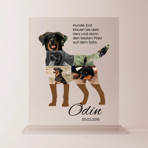 Geschenk für Hundeliebhaber - personalisiertes Acrylglas "Best Buddy"