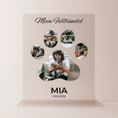 Geschenk für Katzenliebhaber - personalisiertes Acrylglas "Cat Lover"