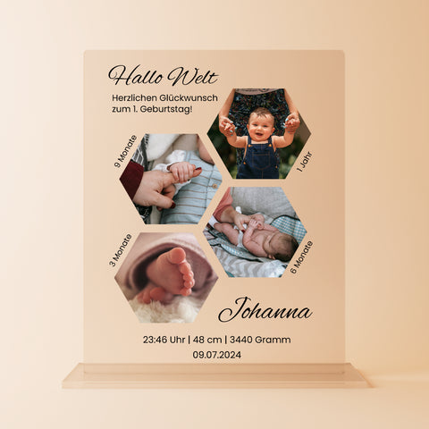 Geschenk zur Geburt - personalisiertes Acrylglas "Mein erstes Jahr"