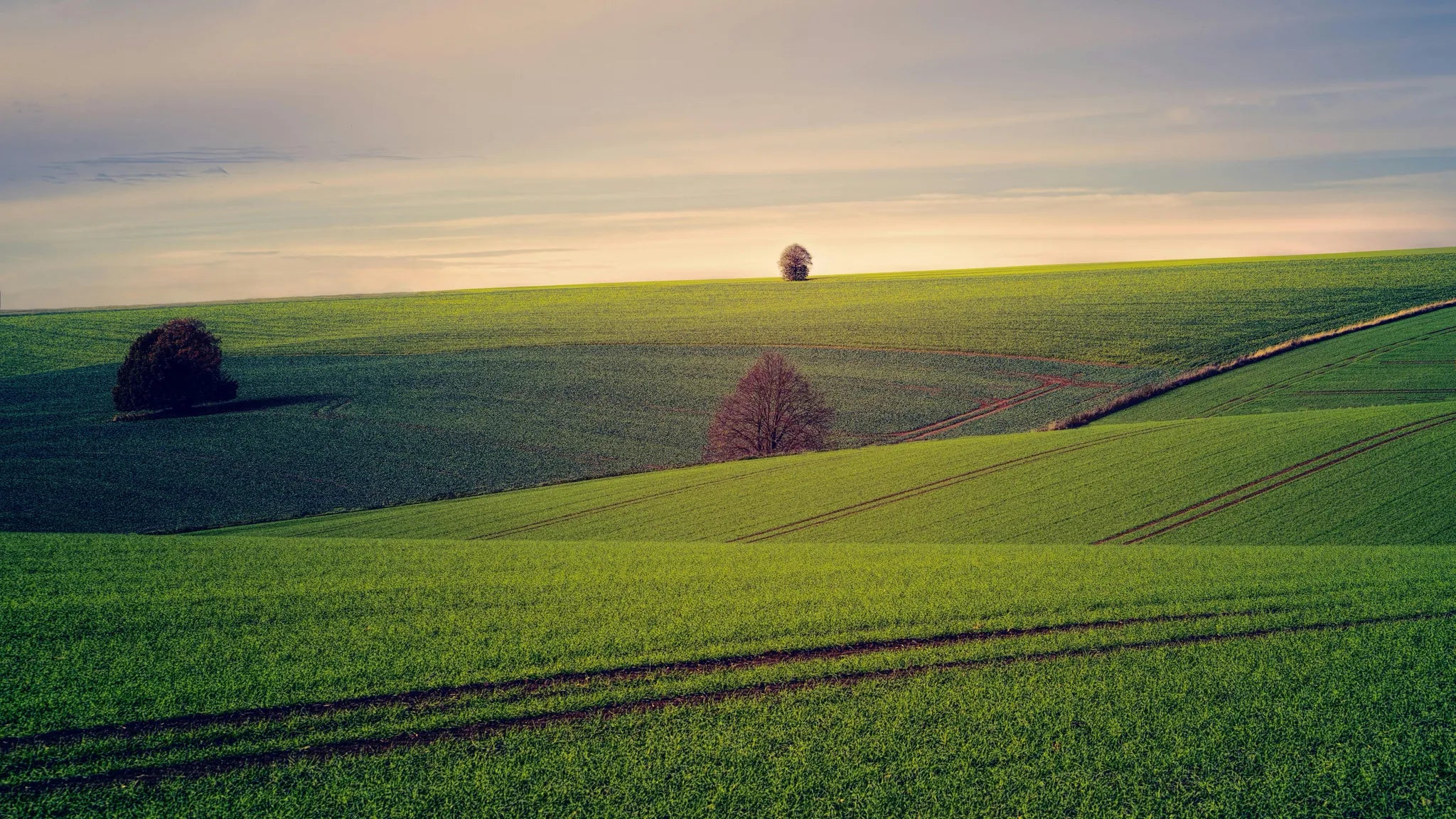 Nachhaltigkeit - Grüne Landschaft