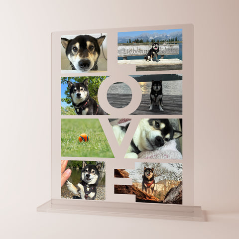 Geschenk für Hundeliebhaber - personalisiertes Acrylglas "Paw Love"