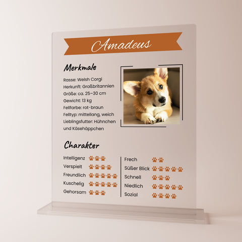 Geschenk für Hundeliebhaber - personalisiertes Acrylglas "Pfotenprofil"