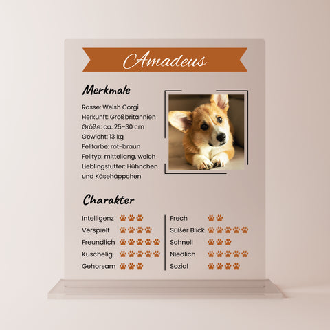 Geschenk für Hundeliebhaber - personalisiertes Acrylglas "Pfotenprofil"