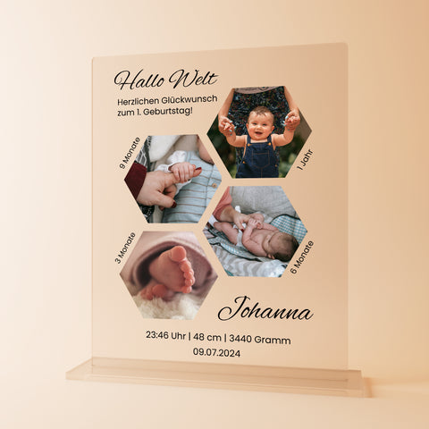 Geschenk zur Geburt - personalisiertes Acrylglas "Mein erstes Jahr"